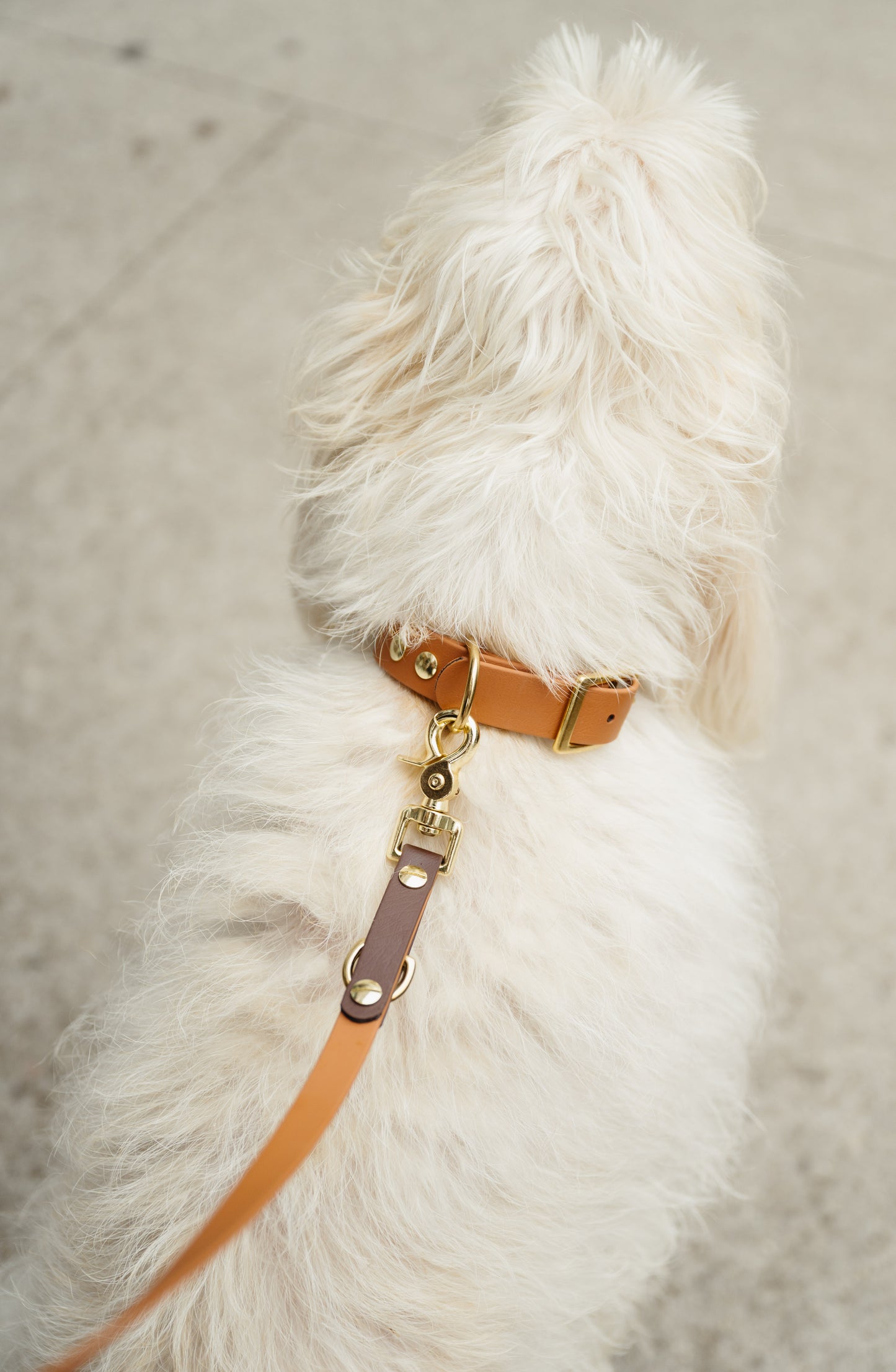 1'' Collar