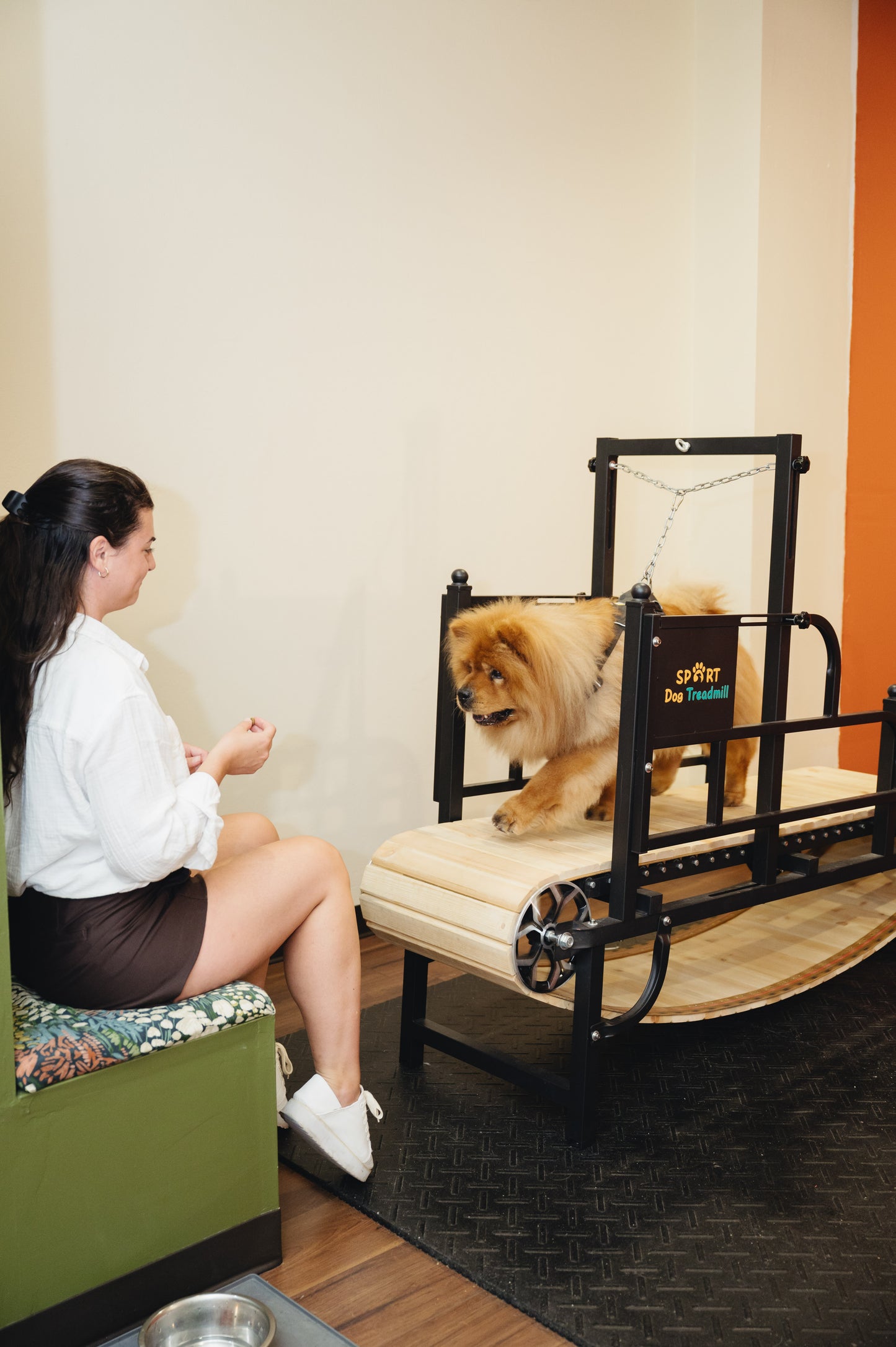 Treadmill Appointment