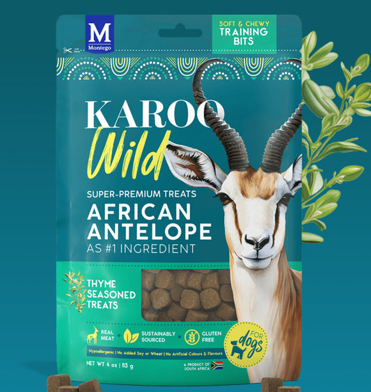Karoo Wild African Antelope