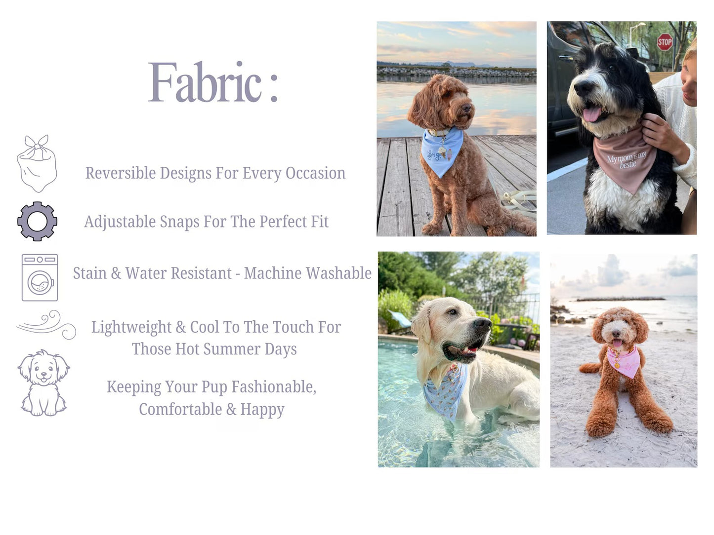 Ivy & Banks Autumn Luxe