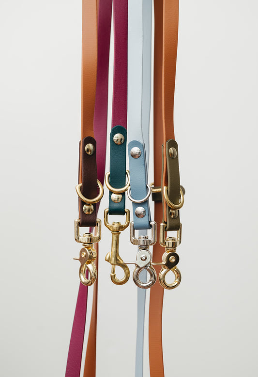 Two Tone Training Leash