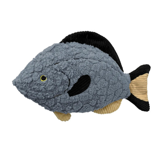 16" Petlou Blue Tang
