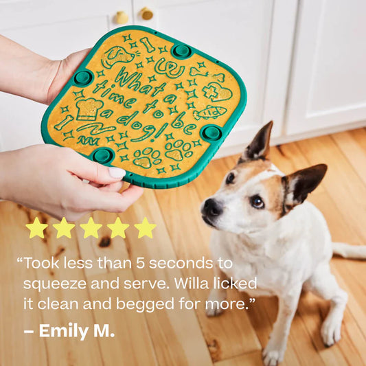 Woof FlipMat