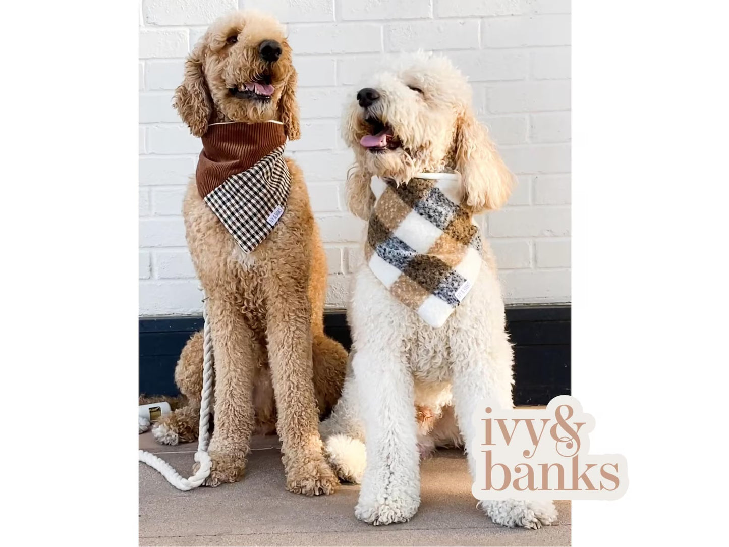 Ivy & Banks Maple Plaid