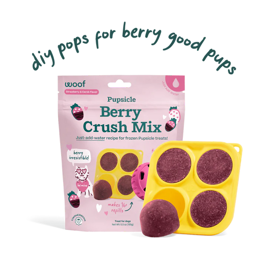 Woof Pupsicle Berry Mix