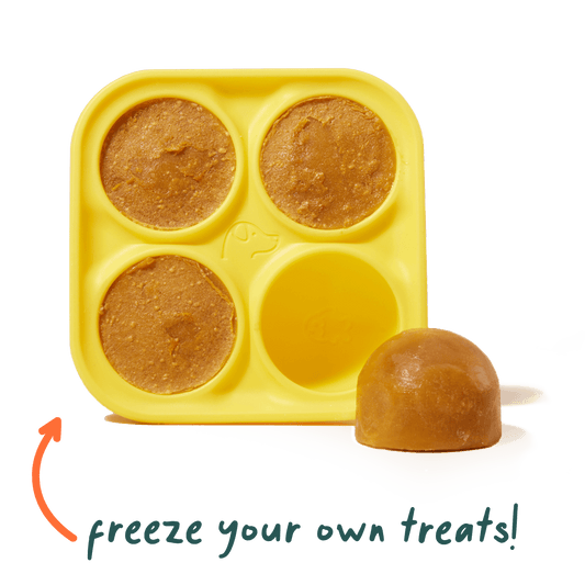 Woof Pupsicle Treat Tray