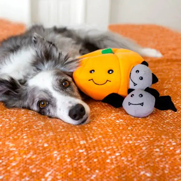 Zippy Burrow - Pumpkin - Halloween Dog Toy