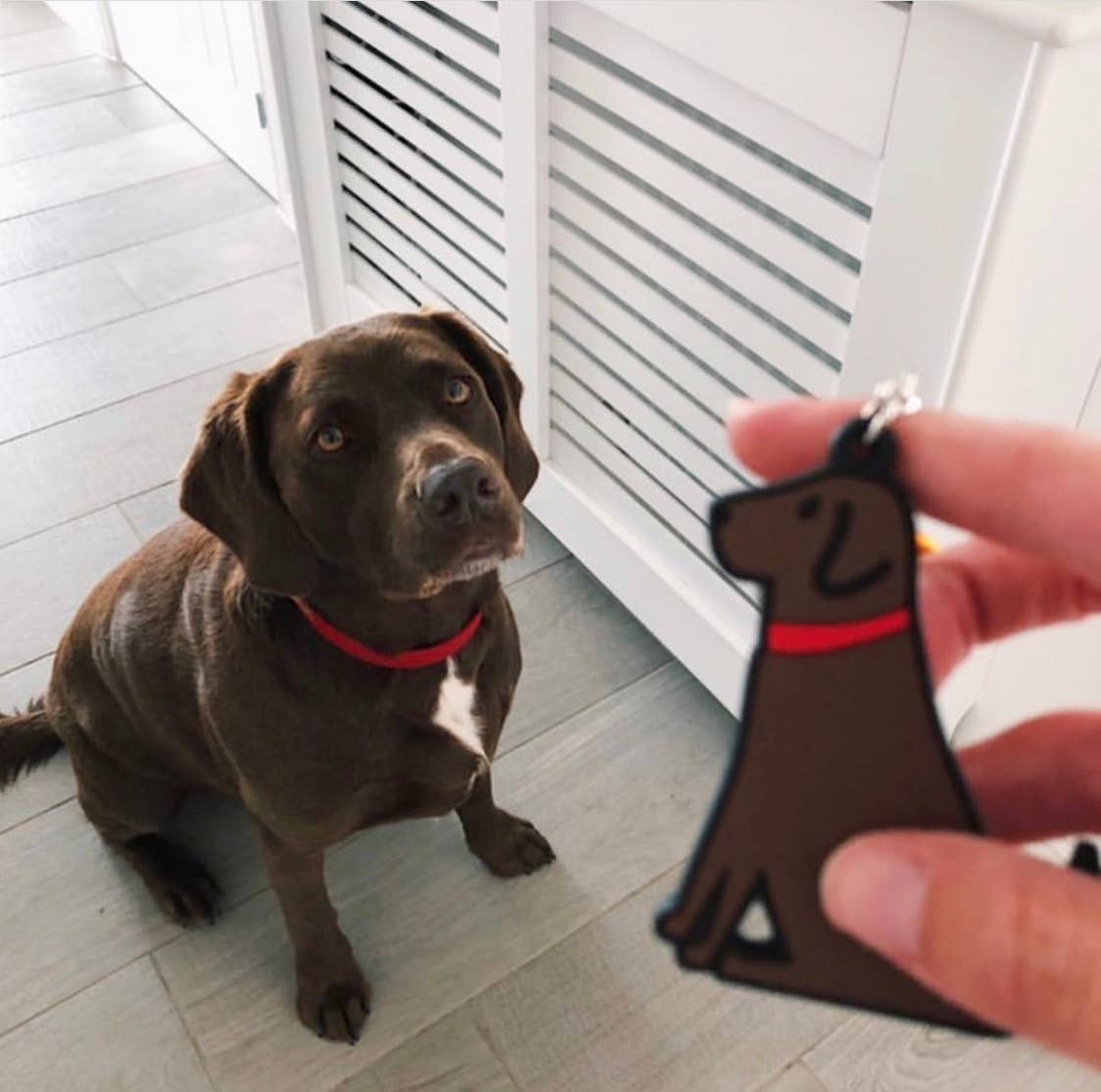 Keyring - Chocolate Labrador