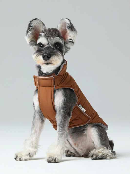 Reversible Dog Vest Orange