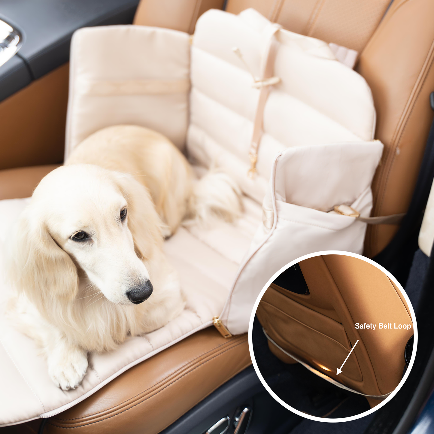 Everywhere Convertible Tote Bag | Dog Carrier | 2 Colors