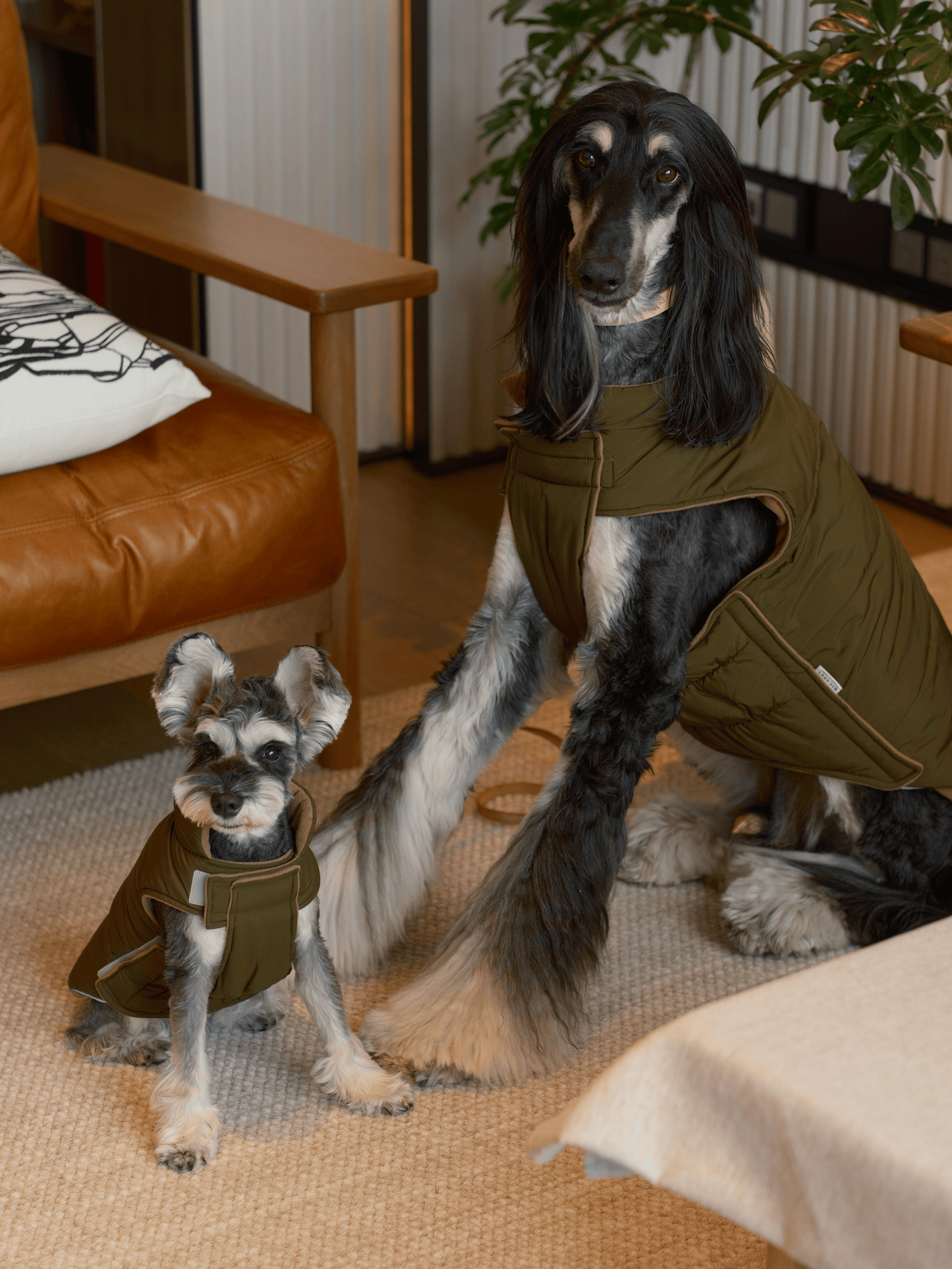 Reversible Dog Vest Green