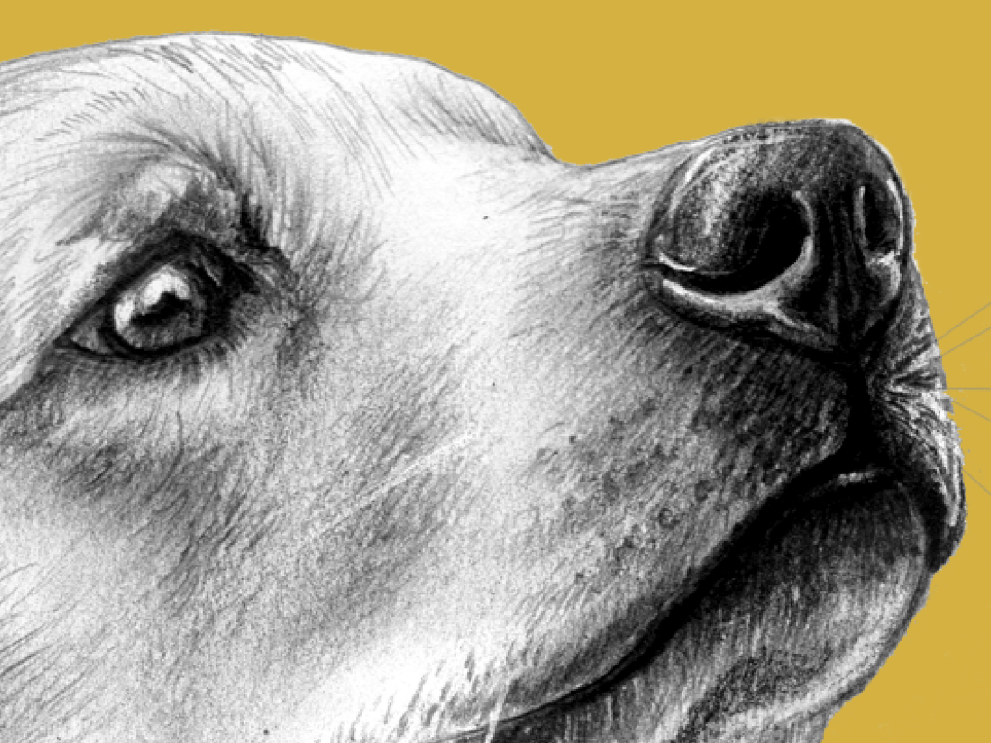 Golden Retriever Dog Notebooks