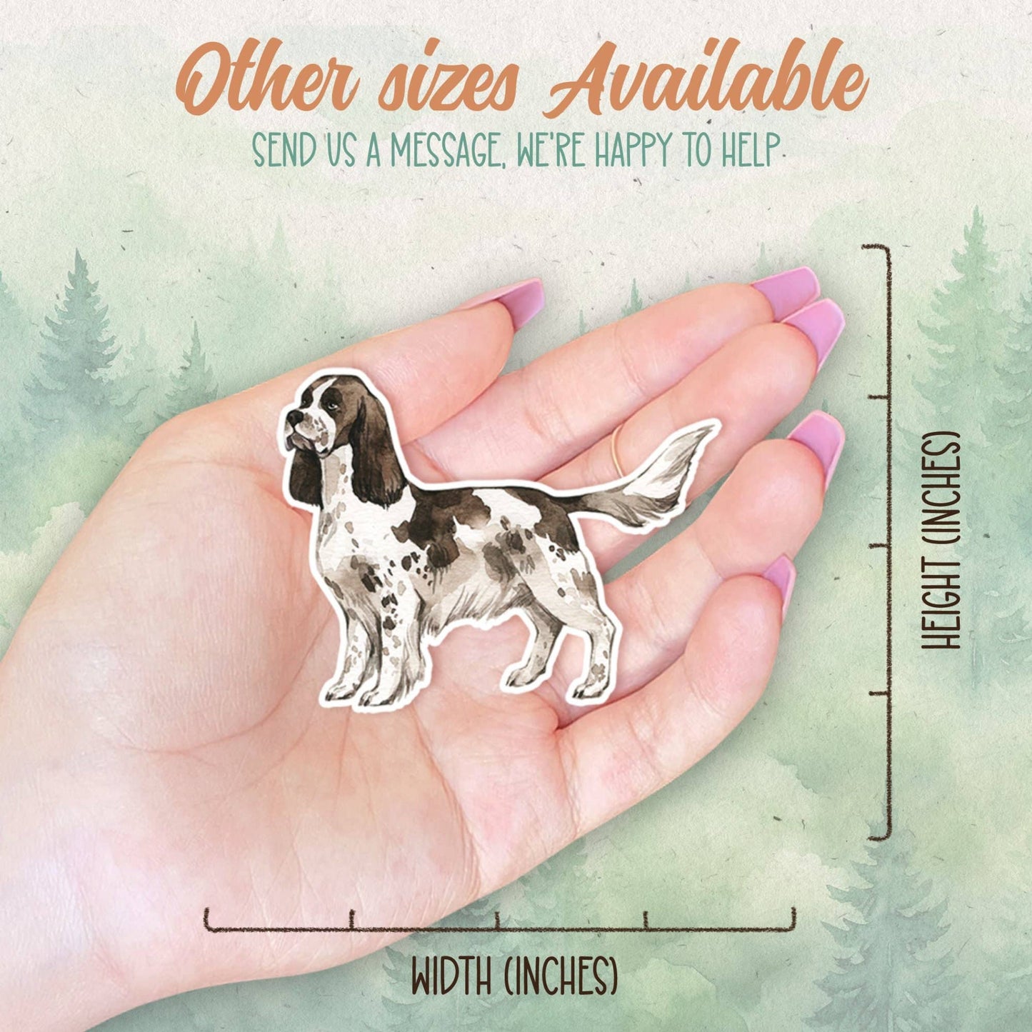 Springer Spaniel dog sticker