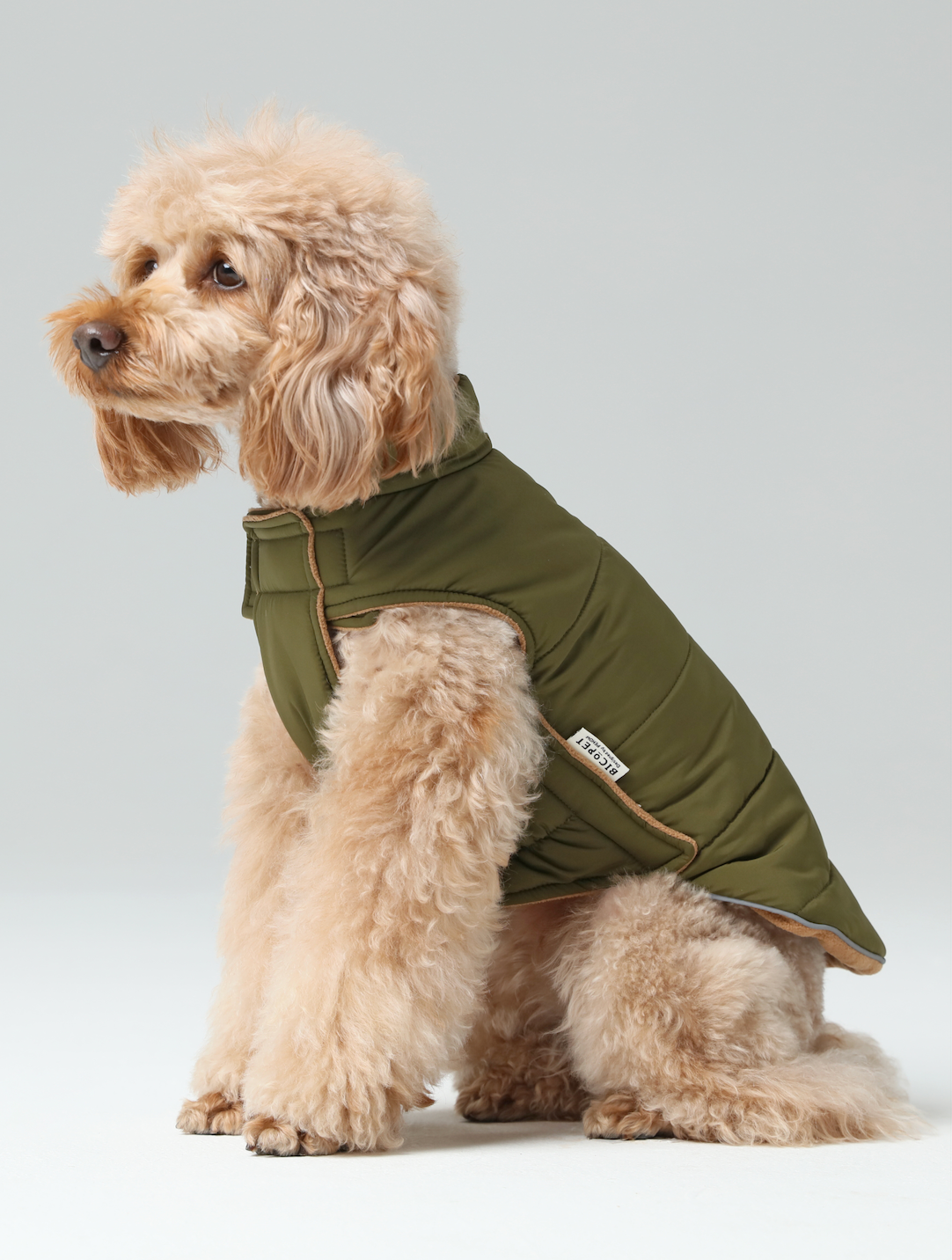 Reversible Dog Vest Green