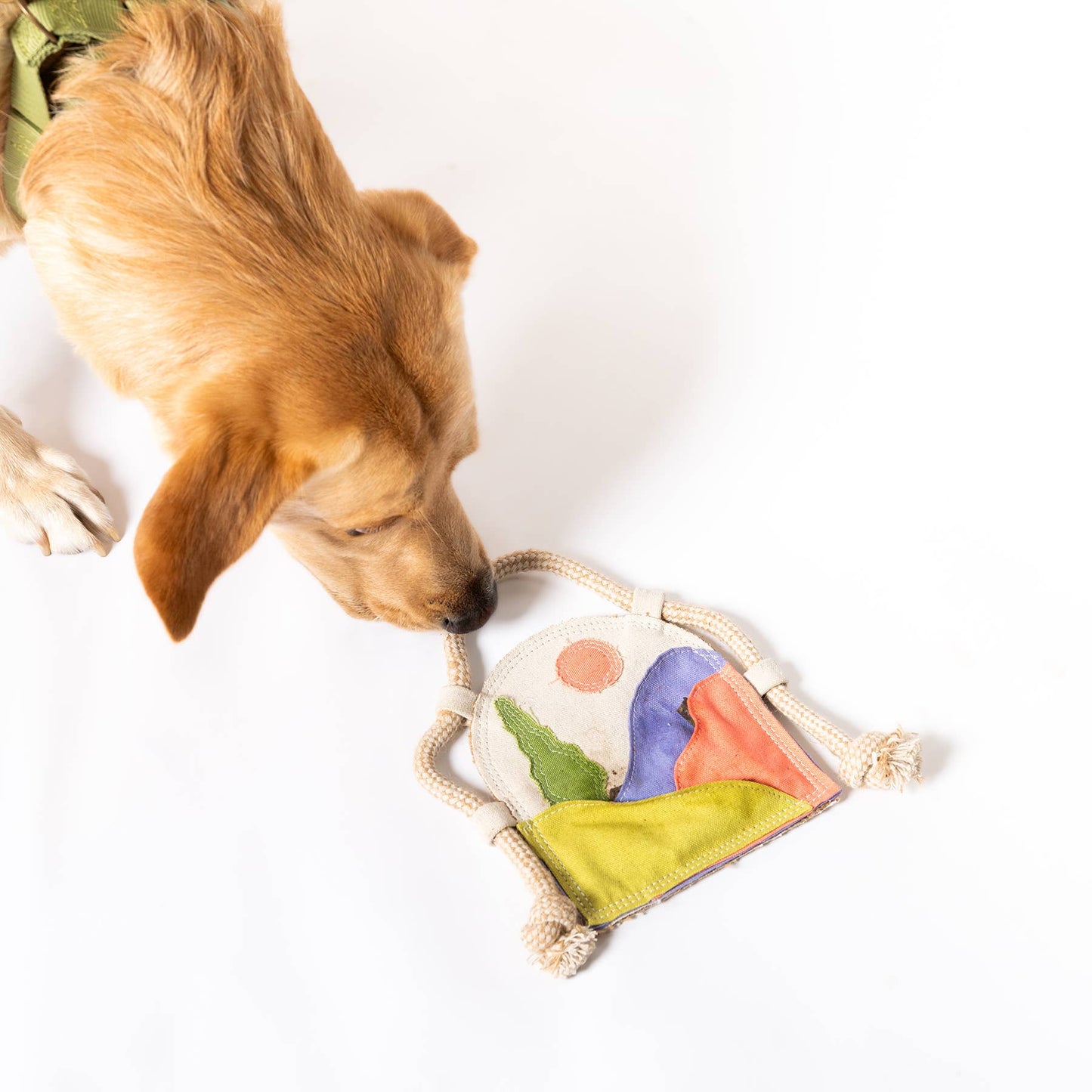 Scenic Stasher Canvas Puzzle Toy