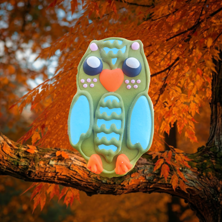 Fall Woodland Owl Packaged
