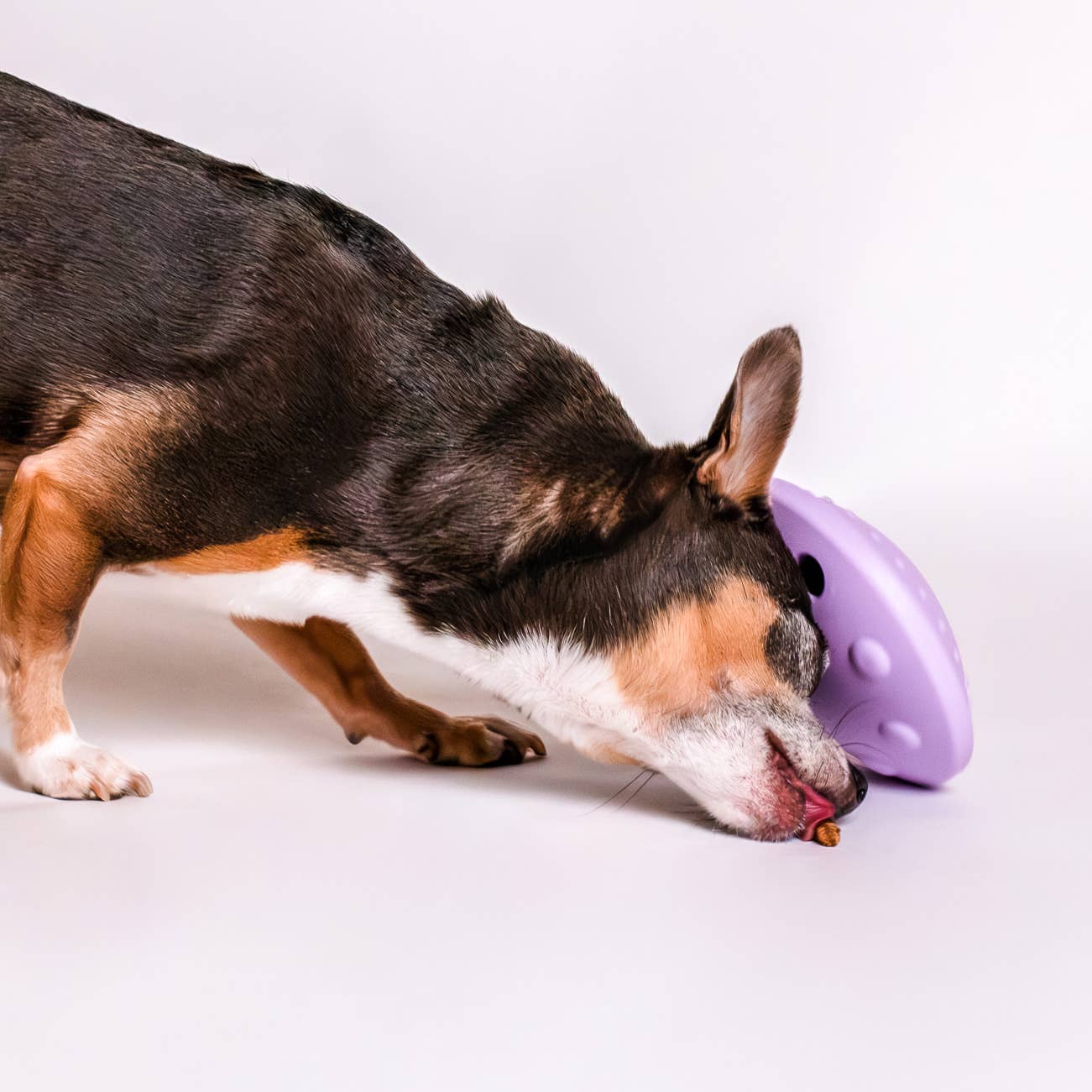 Flying Saucer Silicone Puzzle Toy