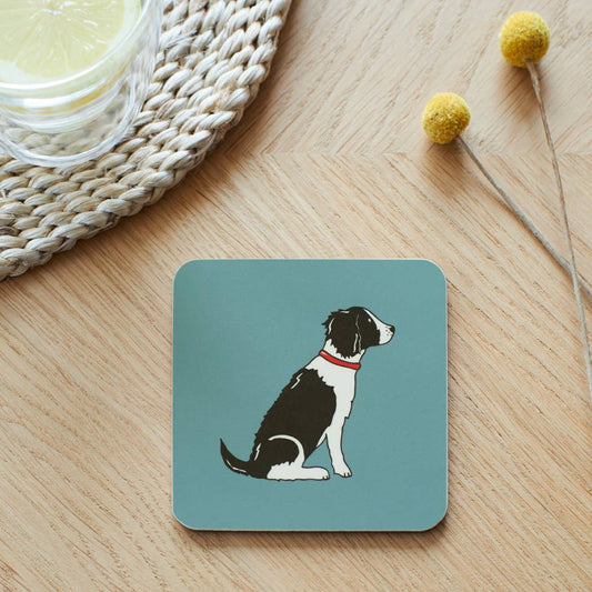 Coaster - Springer Spaniel (Black & White)