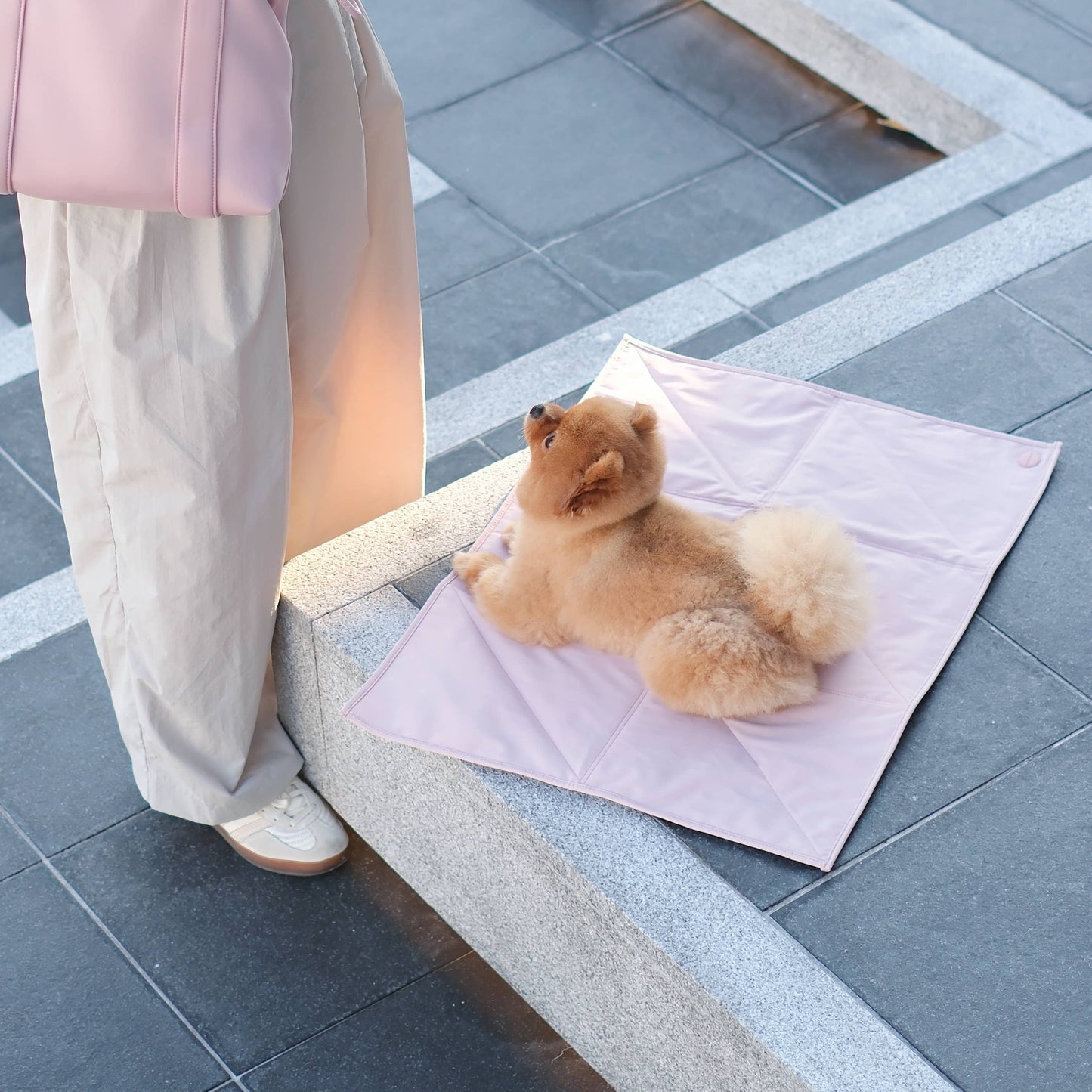 Jouir Pet Travel Mat | Non-slip, Light-weight, Foldable