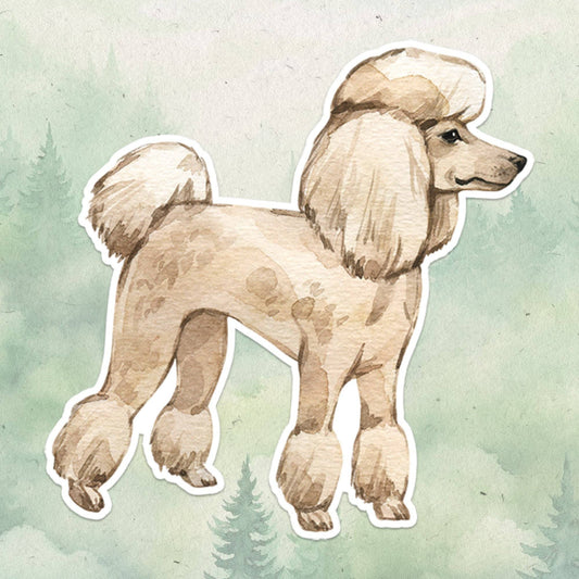 Miniature Poodle sticker