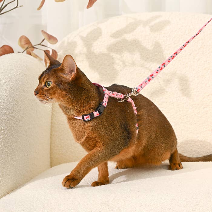 Cat Harness & Leash Set - Cherry