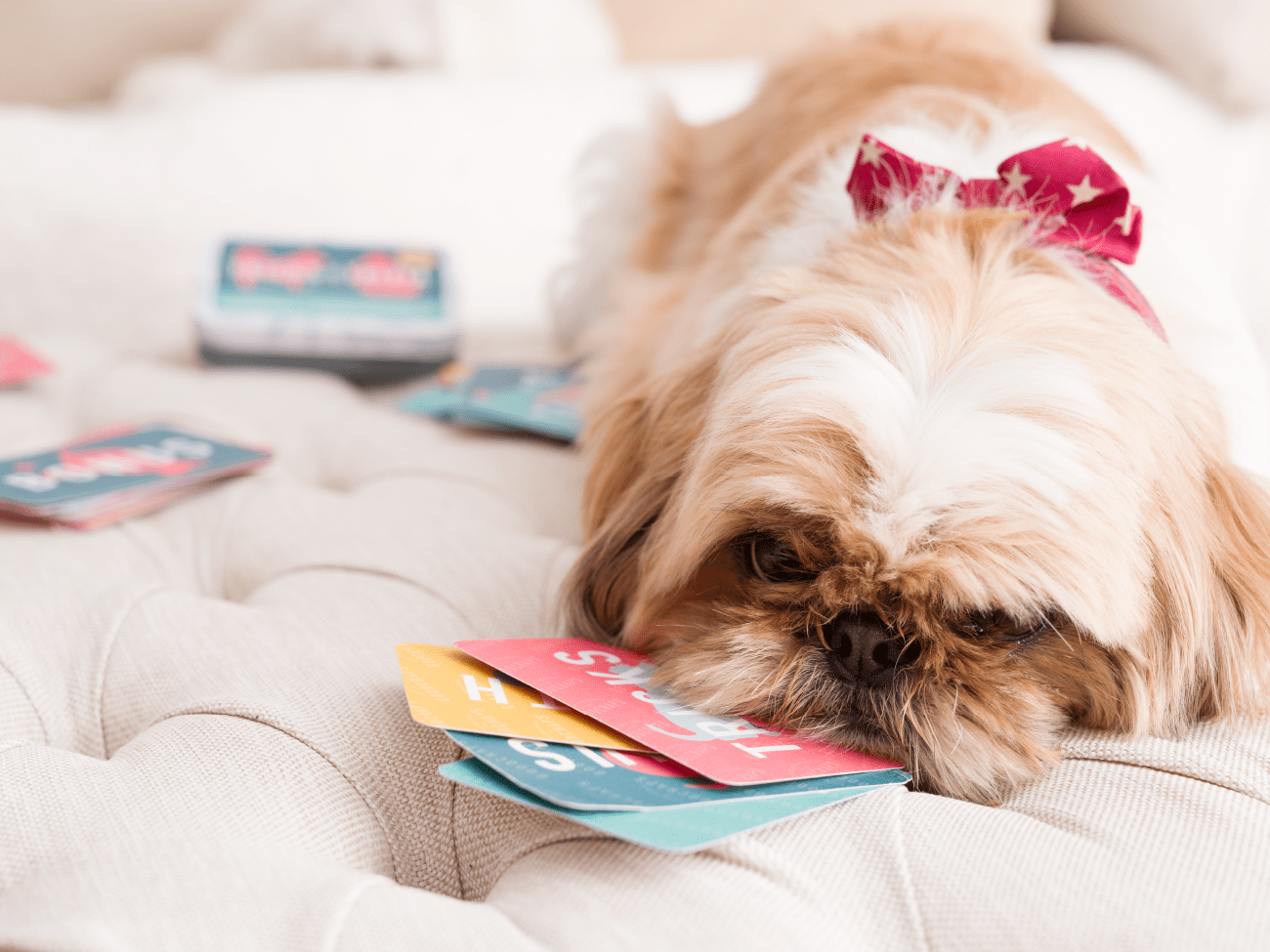 Tricks & Trivia Dog Card Game