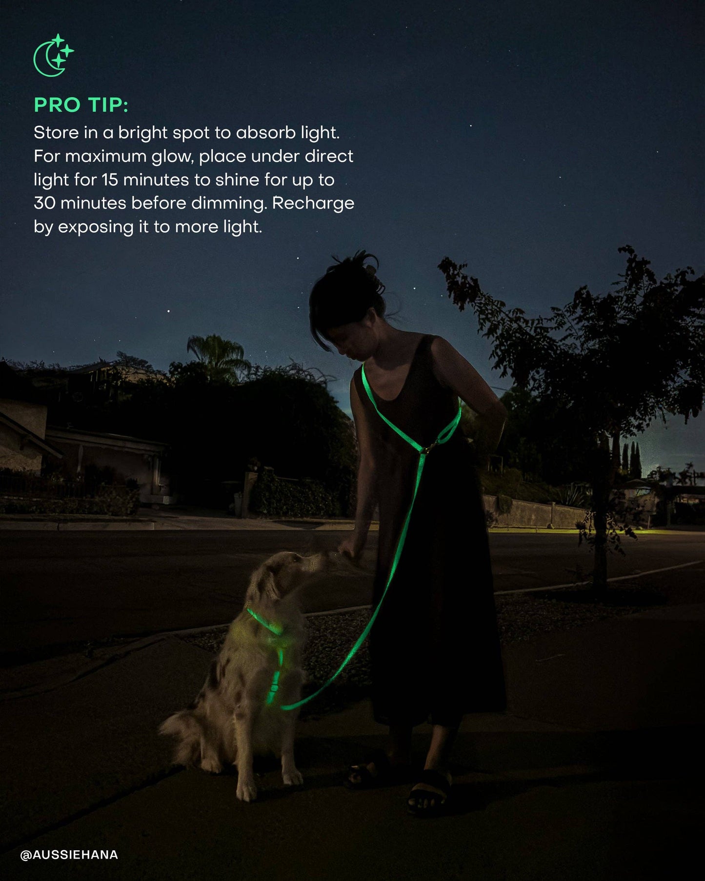 Lunar Glow Snap Dog Treat Pouch