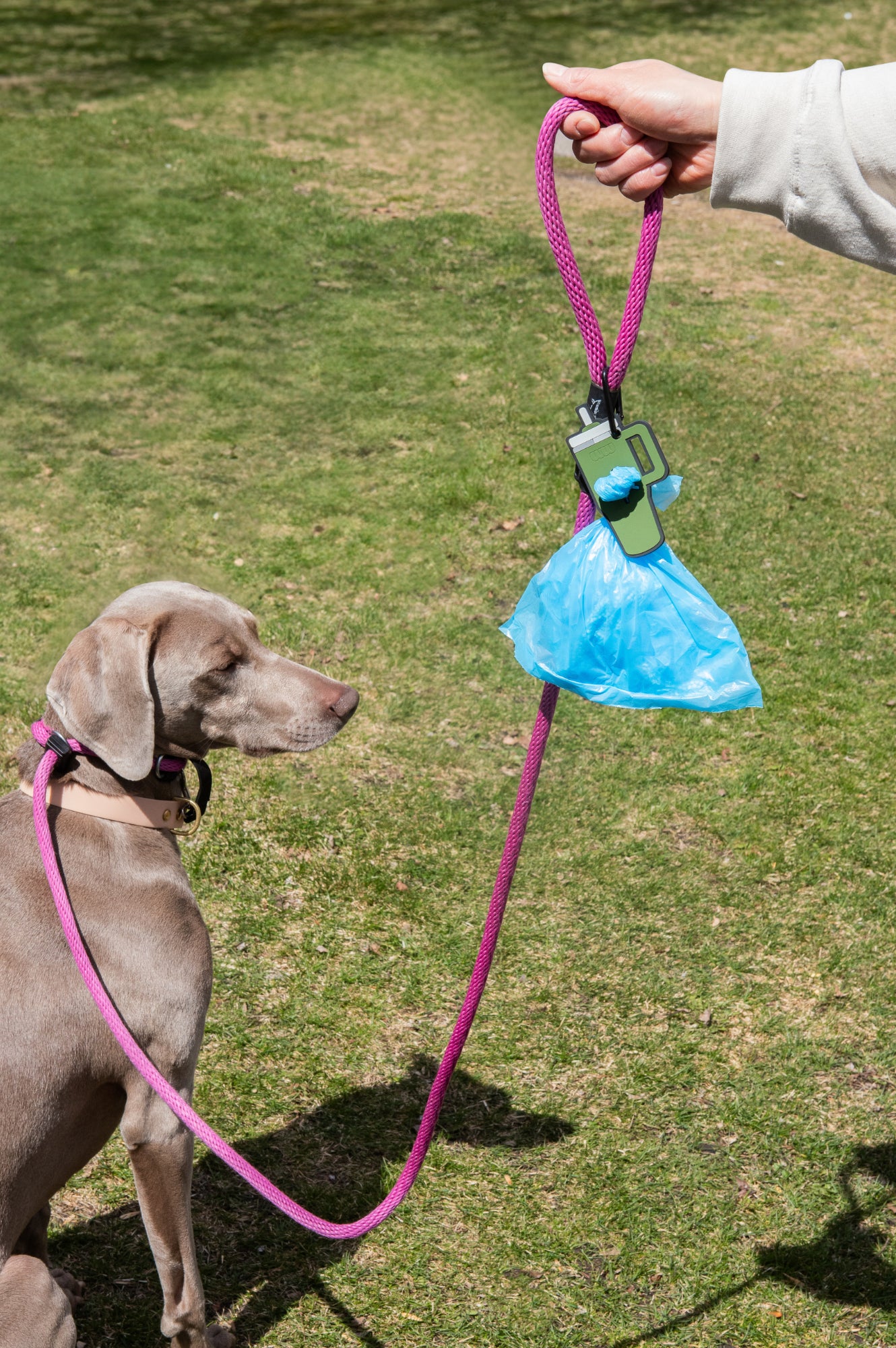 Green Tumbler Poopy Loop®