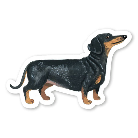 Black Dachshund Sticker