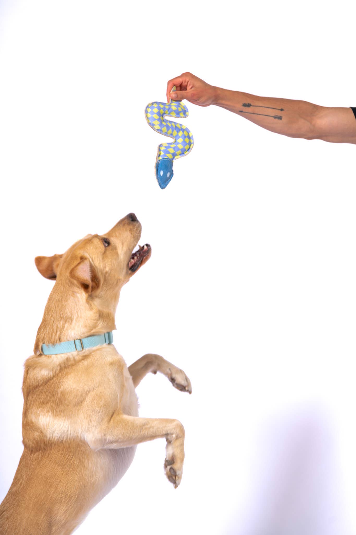 Canvas Sidewinder Toy