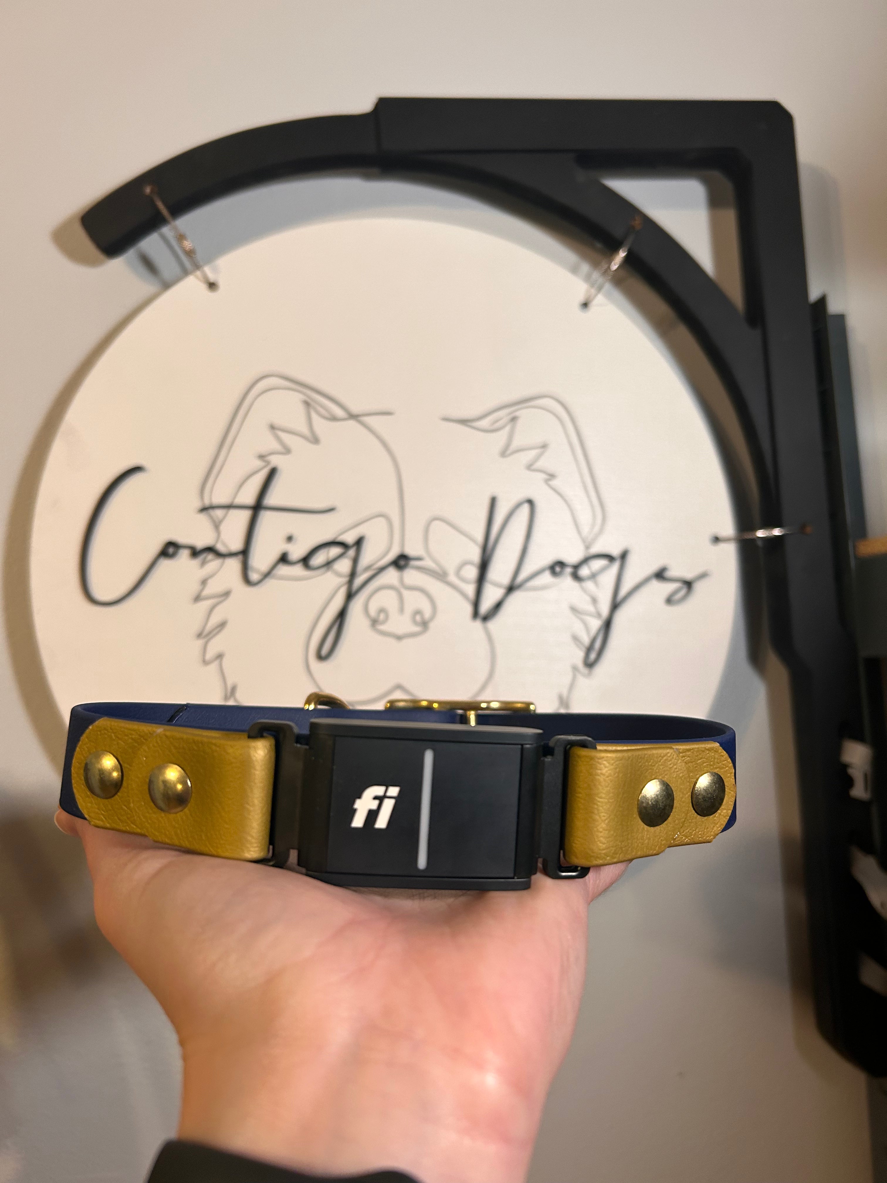 1" Fi Dog Collar (series 3) Contigo Dogs