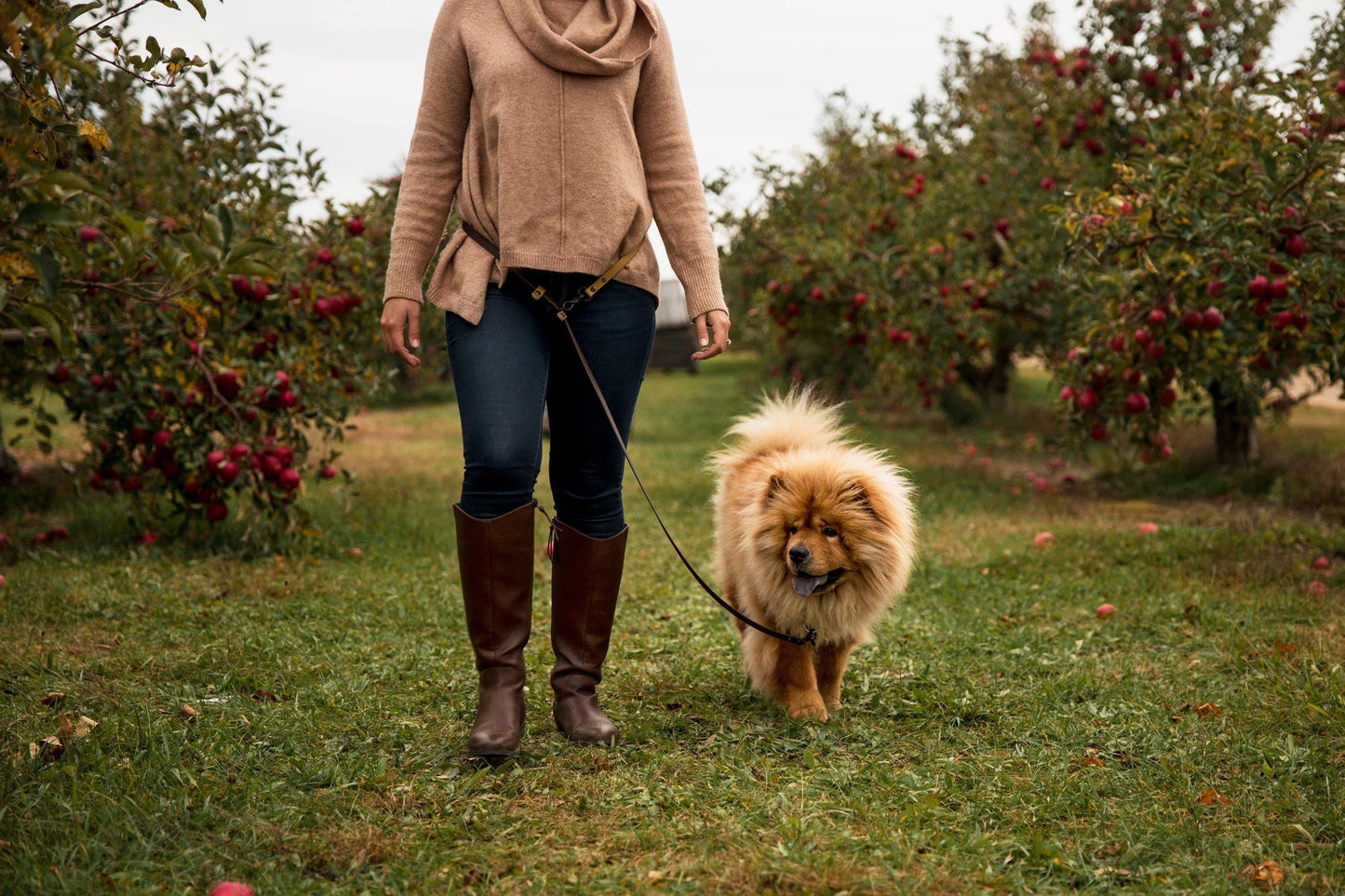 Handsfree Leash - Contigo Dogs