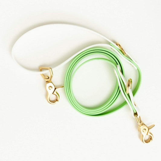 Two Tone Training Leash