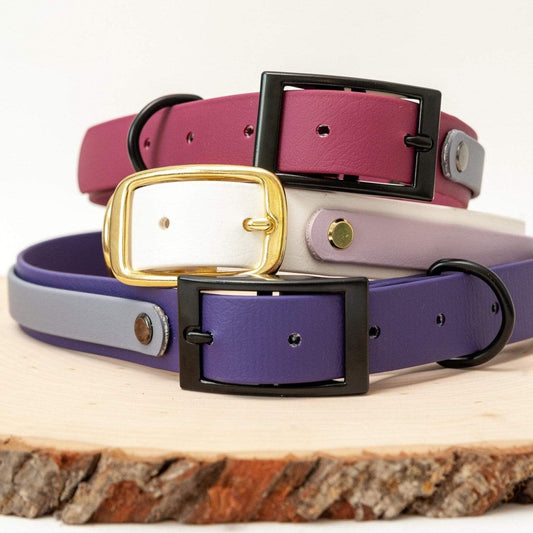 1" Two Tone Collar