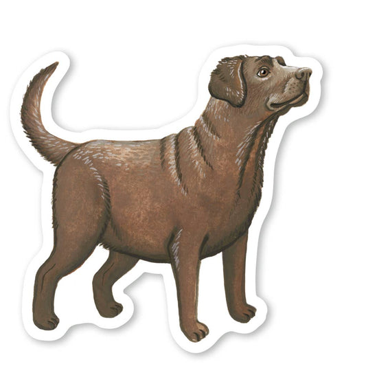 Chocolate Labrador Sticker